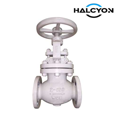 Class 150/300/600 Straight Globe Valve 